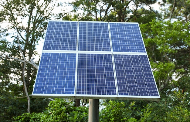 découvrez comment les panneaux solaires contribuent à la durabilité en offrant une solution énergétique renouvelable et respectueuse de l'environnement. informez-vous sur les avantages écologiques et économiques de l'énergie solaire pour un avenir plus vert.