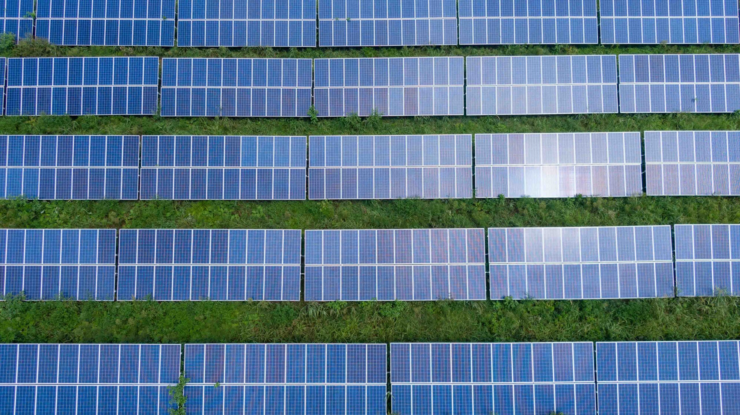 découvrez comment les panneaux solaires contribuent à la durabilité environnementale. explorez les avantages écologiques et économiques de l'énergie solaire, ainsi que son rôle essentiel dans la transition vers un avenir plus durable.