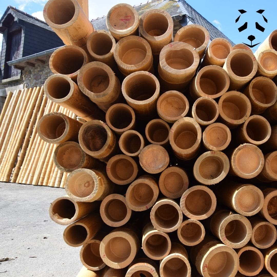 découvrez notre collection de pergolas en bambou, alliant esthétisme et fonctionnalité pour embellir votre jardin. profitez de l'ombre naturelle et créez un espace de vie extérieur accueillant tout en valorisant votre extérieur avec des matériaux écologiques. idéales pour les terrasses et les patios, nos pergolas en bambou sont le choix parfait pour allier design et durabilité.