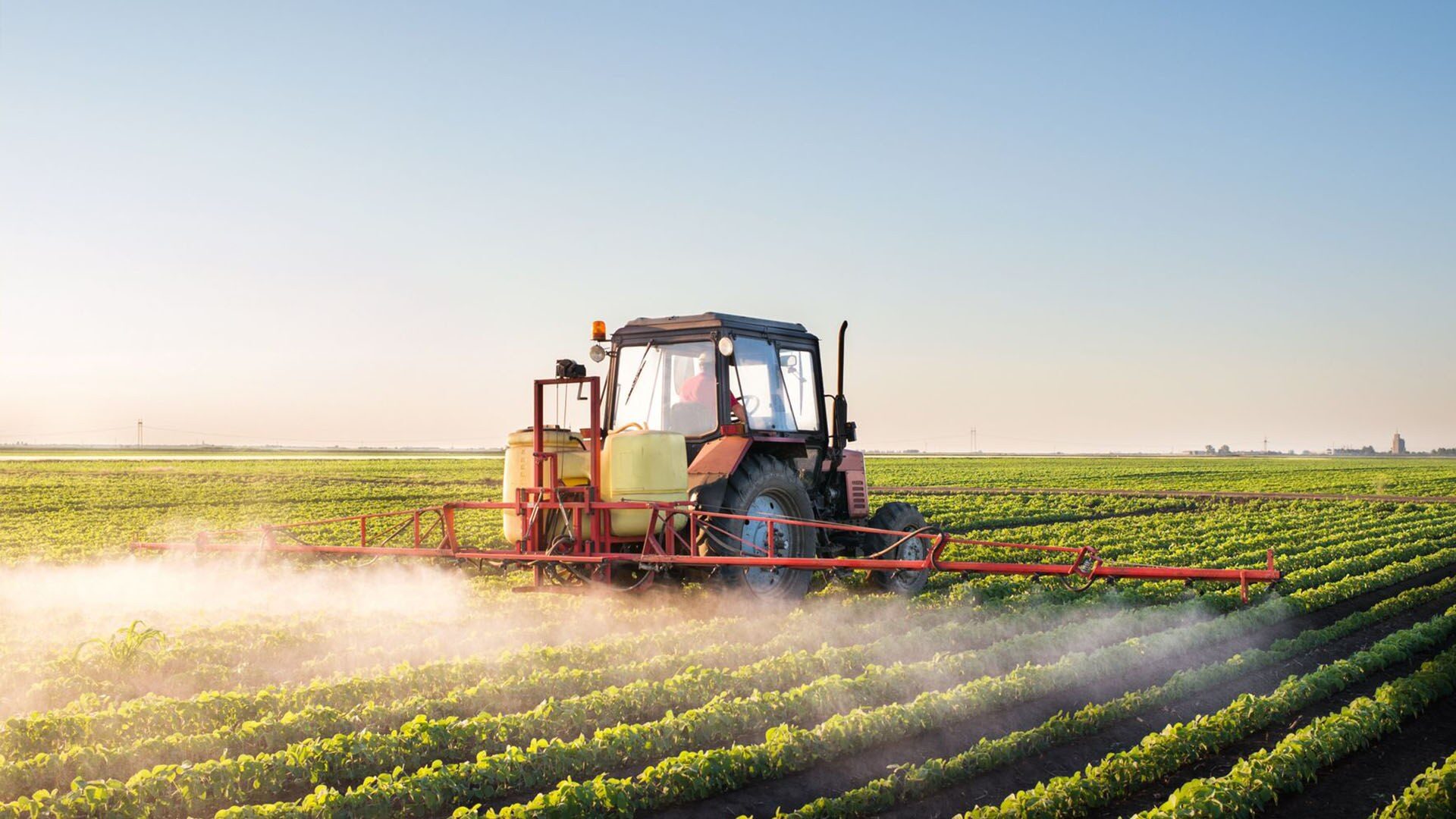 découvrez tout ce qu'il faut savoir sur les pesticides : leur utilisation en agriculture, leur impact sur l'environnement et la santé, et les alternatives écologiques disponibles. informez-vous pour un choix plus responsable.