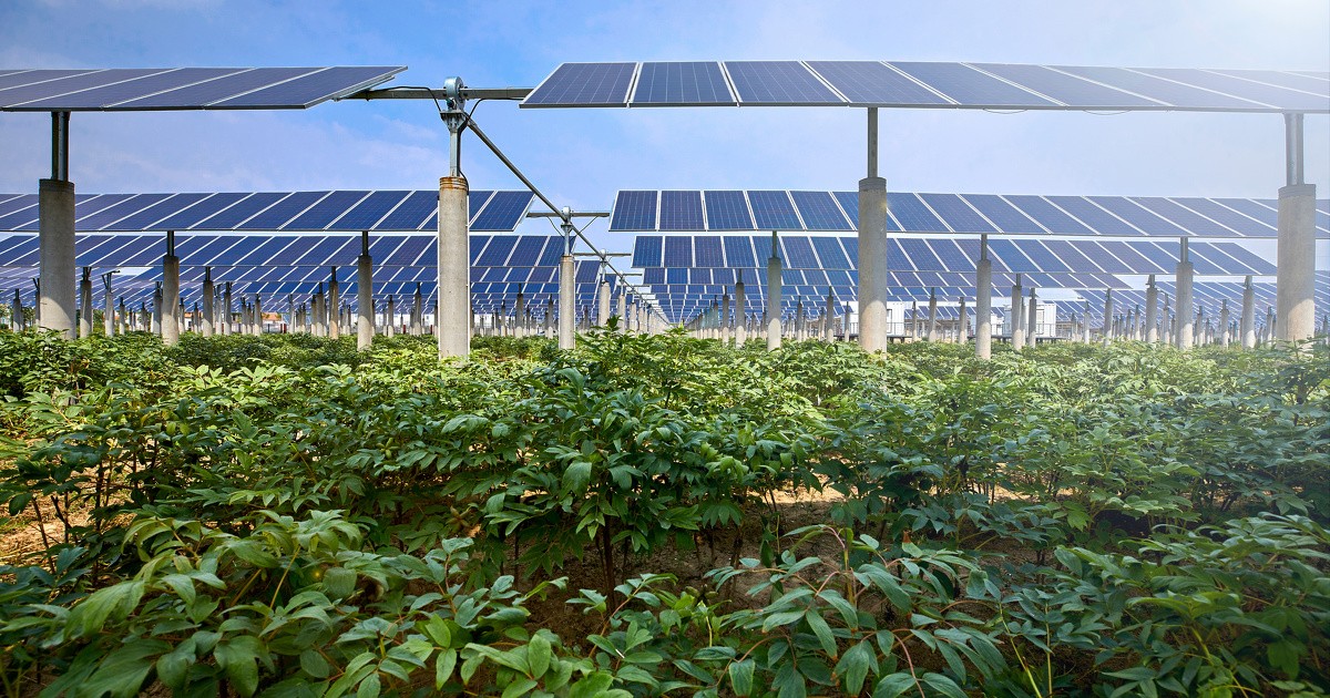 découvrez comment l'énergie photovoltaïque transforme le paysage rural en offrant des solutions durables et rentables pour les agriculteurs et les communautés. explorez les avantages, les méthodes d'installation et les impacts positifs sur l'environnement.