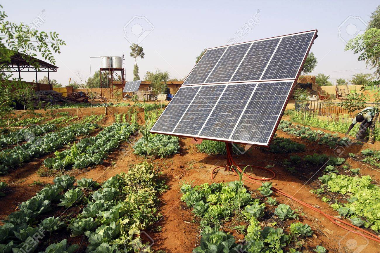 découvrez comment le photovoltaïque rural transforme les paysages agricoles en sources d'énergie renouvelable. explorez les avantages économiques et environnementaux des installations solaires sur les exploitations agricoles et contribuez à un avenir durable.
