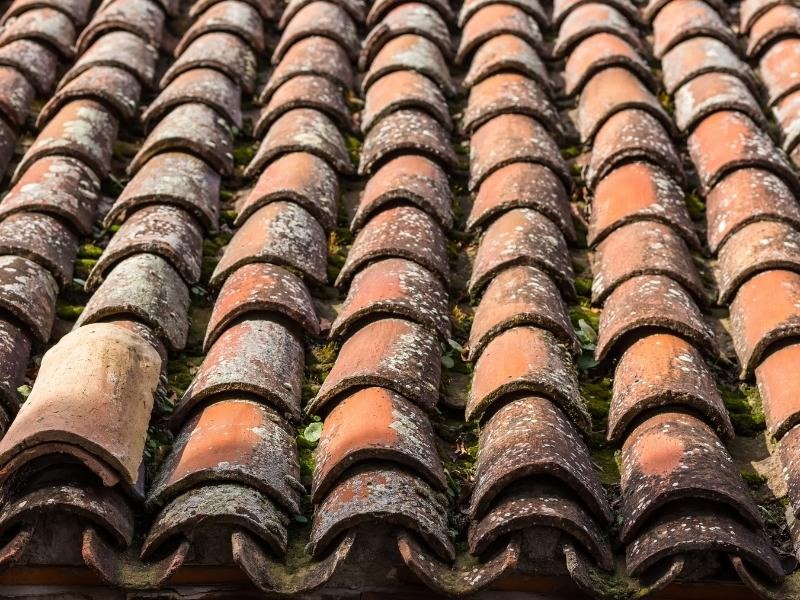 découvrez notre guide complet sur la pose de tuiles de toit ! apprenez les étapes essentielles, les outils nécessaires et les conseils d'experts pour réaliser une toiture esthétique et durable. transformez votre projet de rénovation avec nos astuces pratiques.