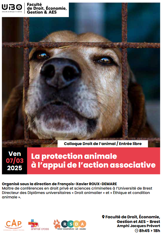 découvrez notre engagement pour la protection animale, où nous œuvrons pour le bien-être des animaux abandonnés et maltraités. rejoignez-nous dans notre mission de sensibilisation et d'adoption pour sauver des vies et promouvoir des pratiques respectueuses envers nos compagnons à quatre pattes.