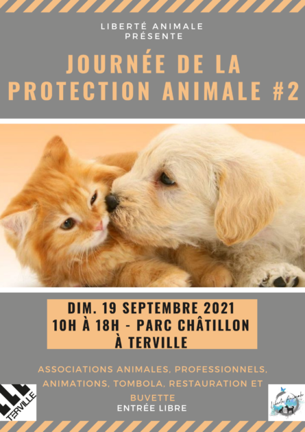 découvrez l'importance de la protection animale et engagez-vous pour la sauvegarde des espèces en danger. informez-vous sur les actions à entreprendre et les initiatives à soutenir pour garantir le bien-être des animaux.