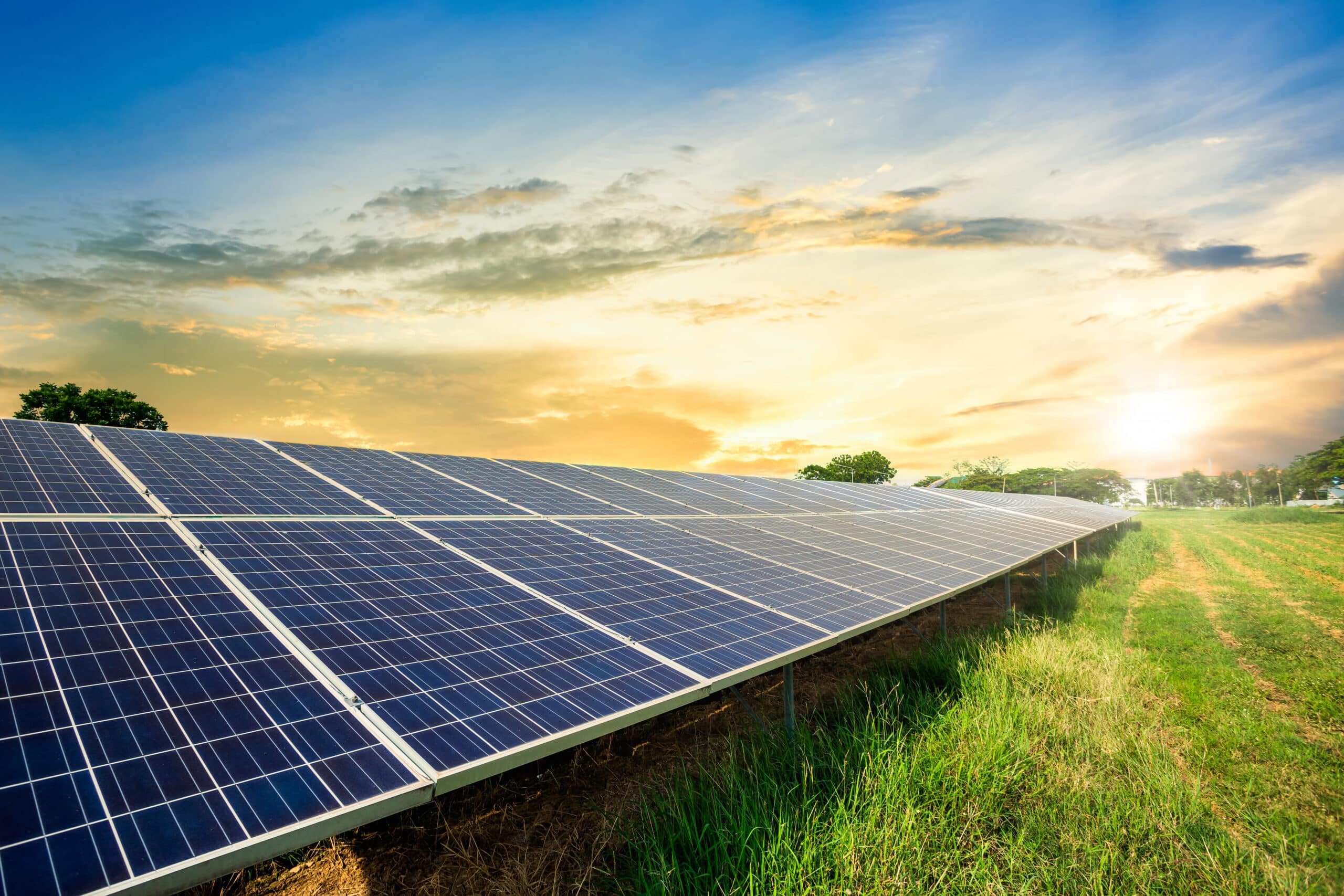découvrez les meilleures options pour votre projet de panneaux solaires. comparez les fournisseurs, les prix et les technologies pour maximiser votre efficacité énergétique et réduire vos factures d'électricité.