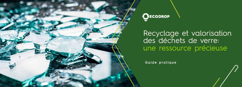 découvrez l'importance du recyclage pour la préservation de notre planète. apprenez comment trier vos déchets efficacement et participez à la réduction des déchets tout en soutenant une économie durable.