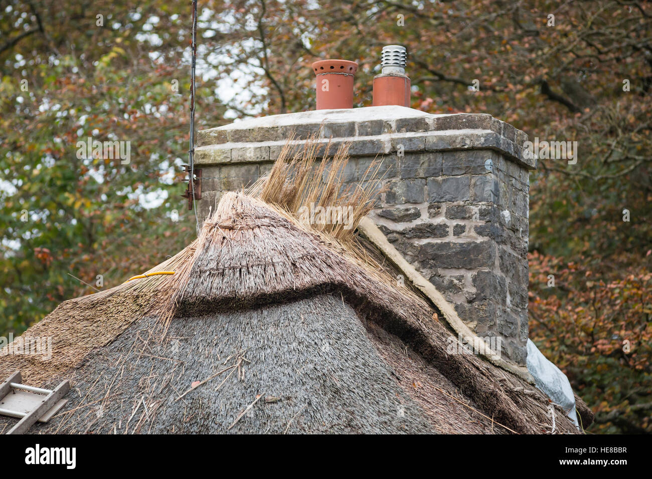 découvrez nos services spécialisés pour la réparation de toits en chaume. profitez de l'expertise de nos artisans qualifiés pour redonner vie et étanchéité à votre toiture. contactez-nous pour un devis rapide et des conseils personnalisés sur l'entretien de votre toit.