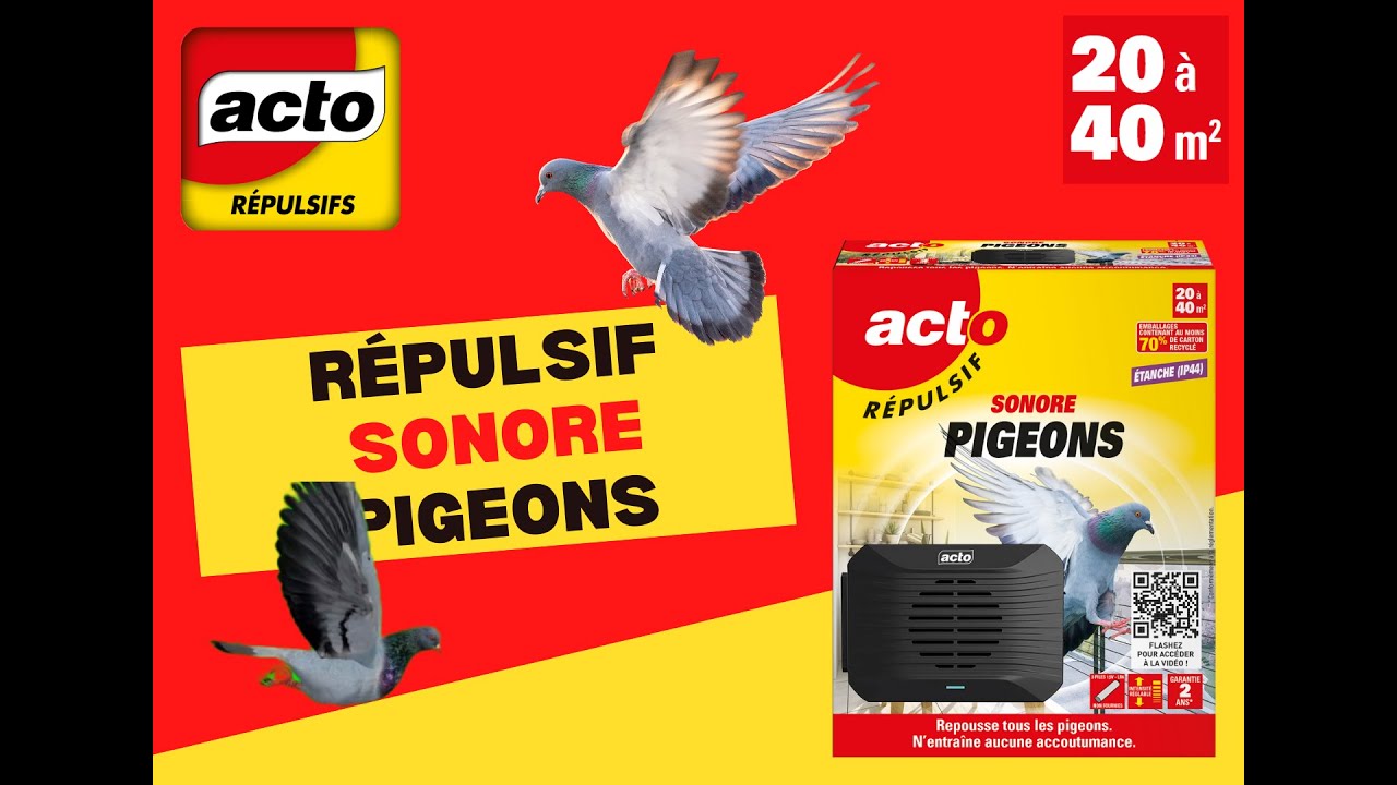 découvrez nos solutions efficaces pour repousser les oiseaux de votre toit. protégez votre maison des nuisances et préservez l'intégrité de votre toiture avec nos conseils pratiques et produits adaptés.