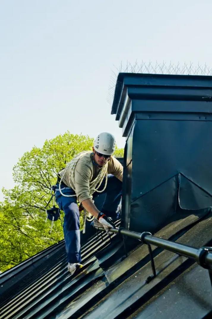 découvrez des techniques efficaces pour repousser les oiseaux de votre toit. protégez votre maison des nuisances et assurez-vous un espace extérieur serein grâce à nos conseils pratiques et solutions adaptées.