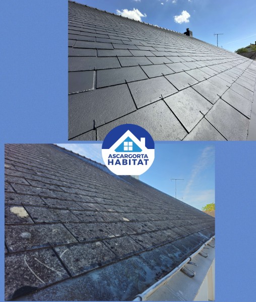 découvrez les solutions innovantes de résine toiture, garantissant étanchéité, durabilité et esthétique pour protéger votre maison des intempéries. optez pour une couverture moderne et efficace.