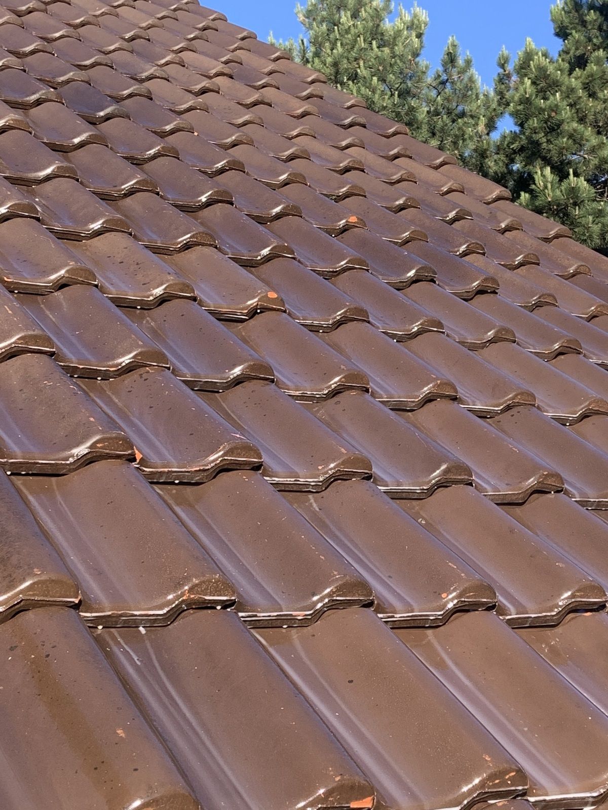 découvrez les avantages de la résine toiture, une solution durable et esthétique pour protéger votre toit. optez pour une imperméabilité optimale et une longue durée de vie avec nos produits de résine de qualité.