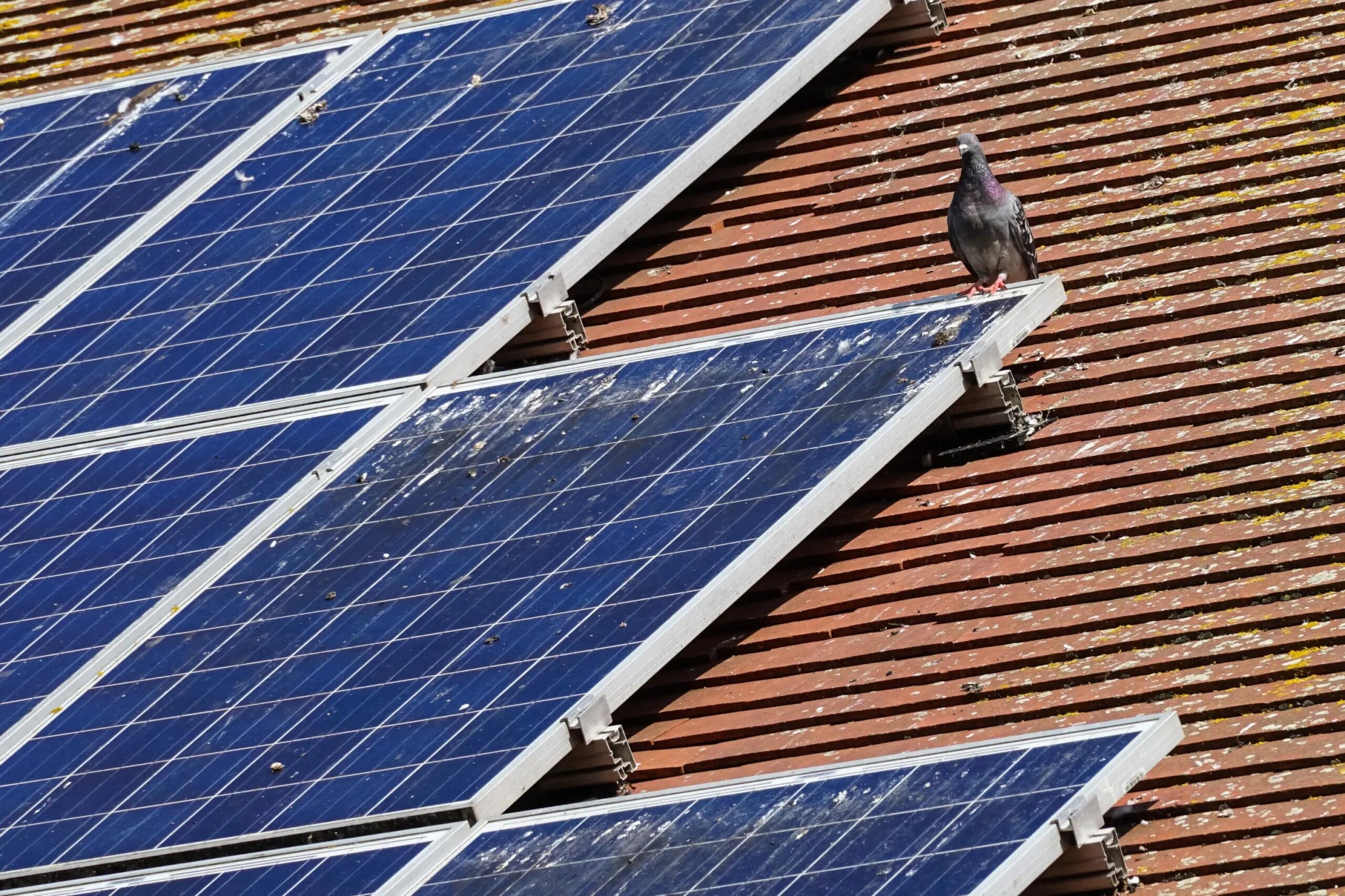 découvrez les meilleures pratiques pour assurer la sécurité des toits photovoltaïques. apprenez à évaluer les risques, à mettre en place des protections efficaces et à garantir la durabilité de vos installations solaires tout en préservant l'intégrité de votre toiture.