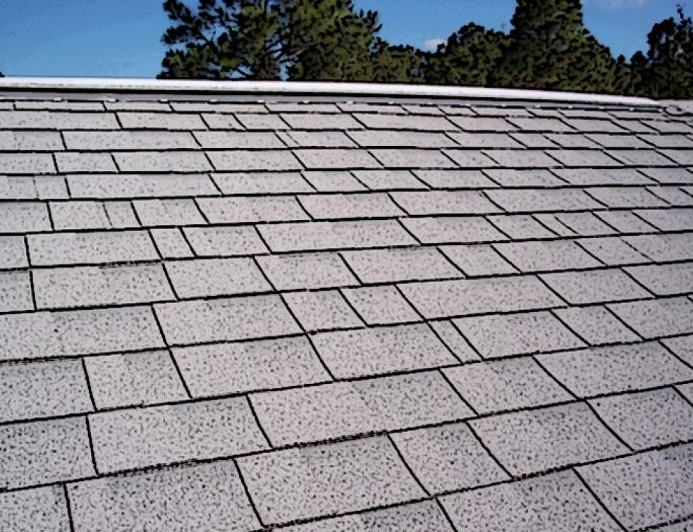 découvrez tout ce qu'il faut savoir sur les shingles de toiture : avantages, types, installation et entretien. optez pour une solution esthétique et durable pour protéger votre maison des intempéries.