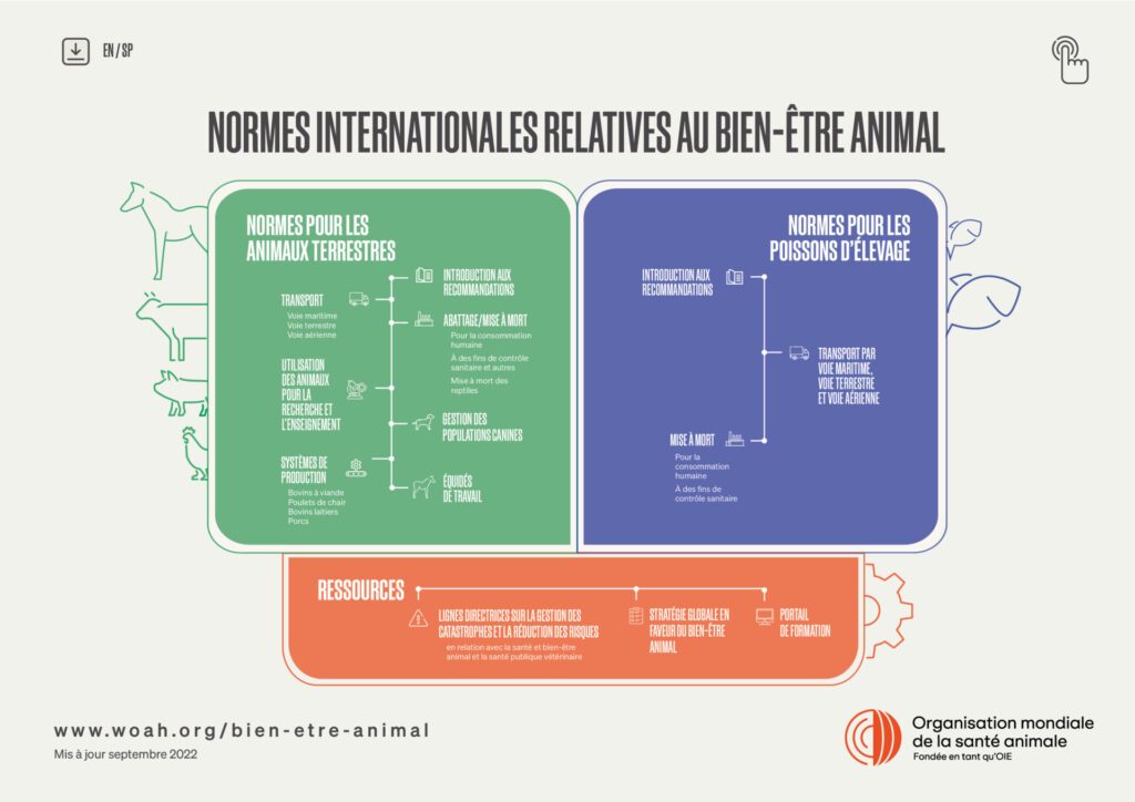 découvrez les subventions dédiées au bien-être animal : comment les obtenir, les critères d'éligibilité et les projets soutenus. améliorez la qualité de vie de vos animaux grâce à un soutien financier adapté.