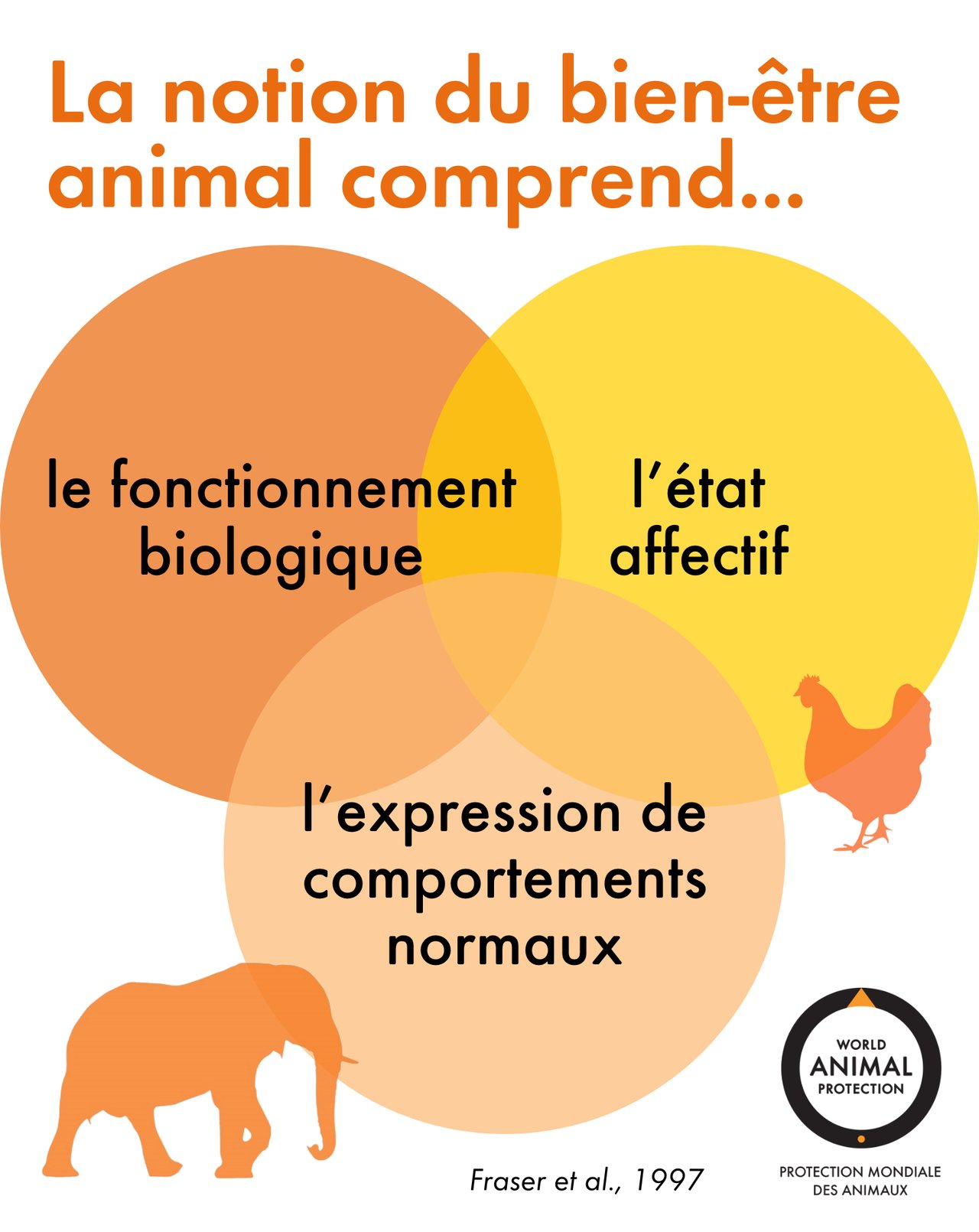 découvrez tout sur les subventions bien-être animal : comment en bénéficier, les critères d'éligibilité et les aides disponibles pour promouvoir la santé et le bien-être des animaux.