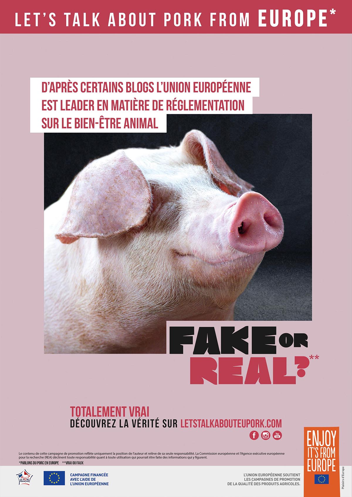 découvrez les subventions bien-être animal : une aide précieuse pour les initiatives en faveur de la santé et du confort des animaux. informez-vous sur les programmes disponibles et les critères d'éligibilité pour soutenir votre engagement en faveur du bien-être animal.