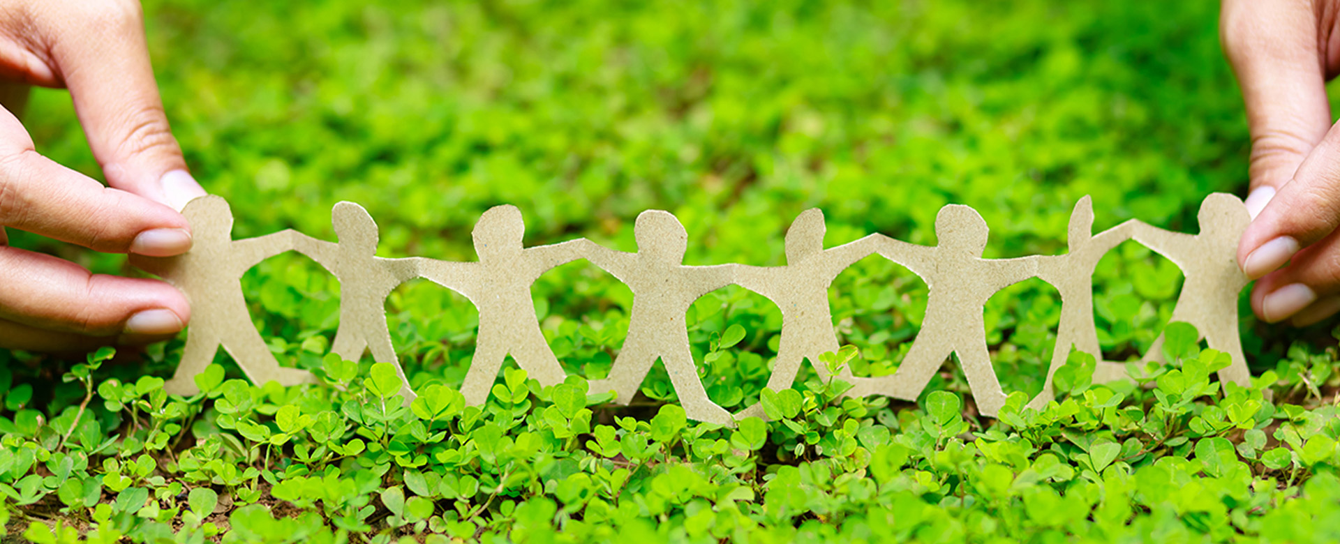 découvrez les subventions dédiées au développement durable, des financements accessibles pour soutenir vos projets écologiques et innovants. informez-vous sur les opportunités disponibles pour contribuer à une économie verte et responsable.