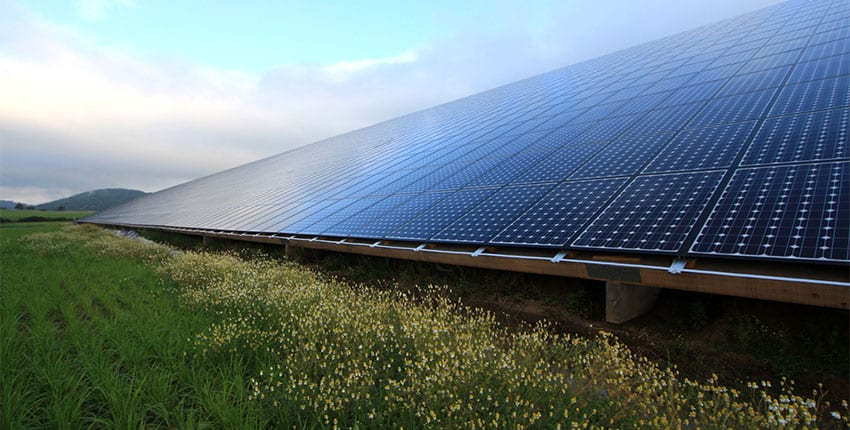 découvrez les subventions disponibles pour promouvoir l'éducation environnementale. soutenez les initiatives pédagogiques qui sensibilisent aux enjeux écologiques et favorisez un avenir durable pour les générations futures.