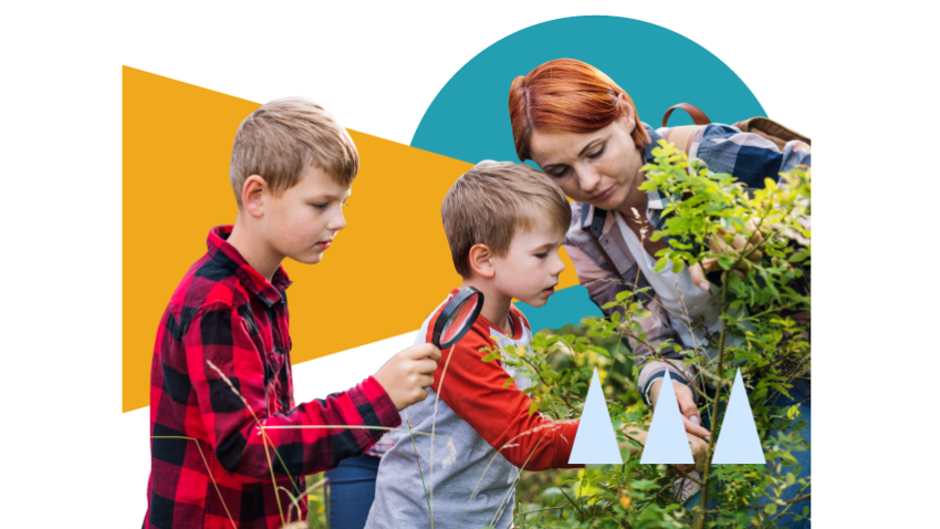 découvrez comment les subventions pour l'éducation environnementale peuvent transformer les initiatives écologiques. obtenez des informations sur les opportunités de financement, les projets innovants et les avantages de sensibiliser les jeunes générations à la protection de notre planète.