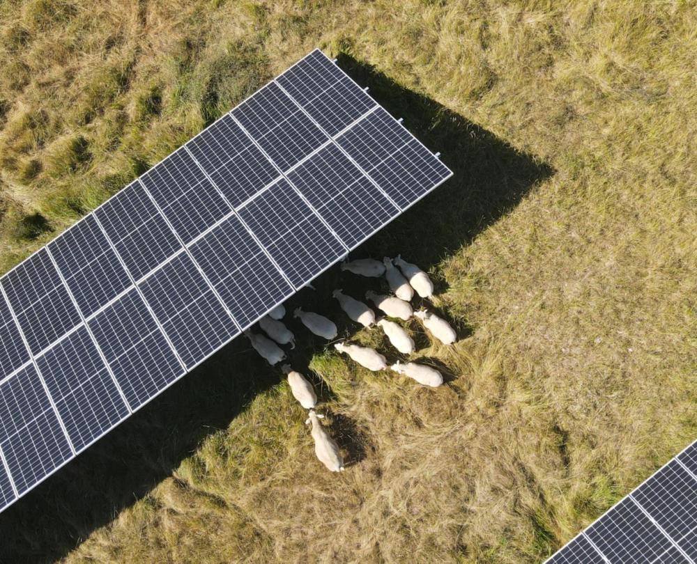 découvrez les dernières tendances en matière de panneaux solaires : innovations technologiques, évolutions du marché, et conseils pour maximiser votre rendement énergétique. restez à jour sur les solutions durables qui façonnent l'avenir de l'énergie solaire.