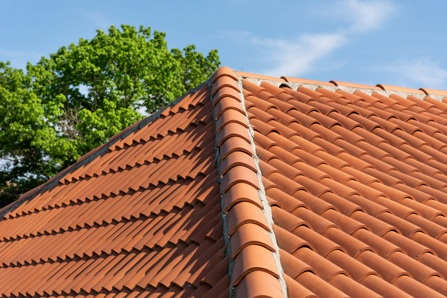 découvrez tout ce qu'il faut savoir sur le toit : types de matériaux, techniques de construction, entretien et rénovation. protégez votre maison avec des conseils d'experts et des innovations en matière d'architecture et de design.