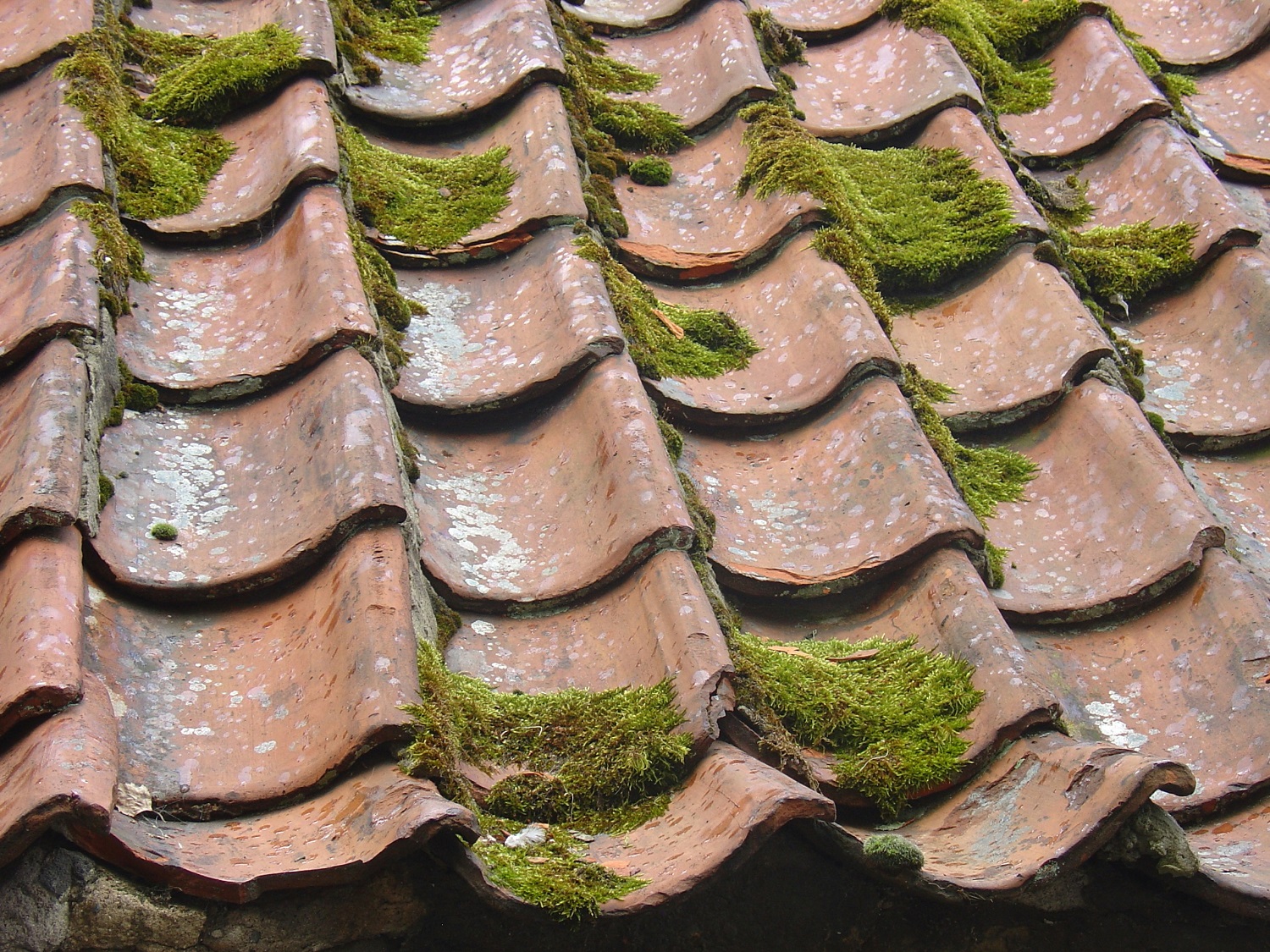 découvrez l'univers des toits : styles, matériaux et techniques de construction pour protéger et embellir votre habitation. informez-vous sur l'importance d'un toit en bon état et les meilleures pratiques d'entretien.