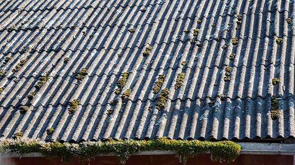 découvrez tout ce qu'il faut savoir sur les toits en amiante : risques sanitaires, réglementation en vigueur et solutions de désamiantage. protégez votre santé et assurez la sécurité de votre habitation grâce à des informations complètes et fiables.