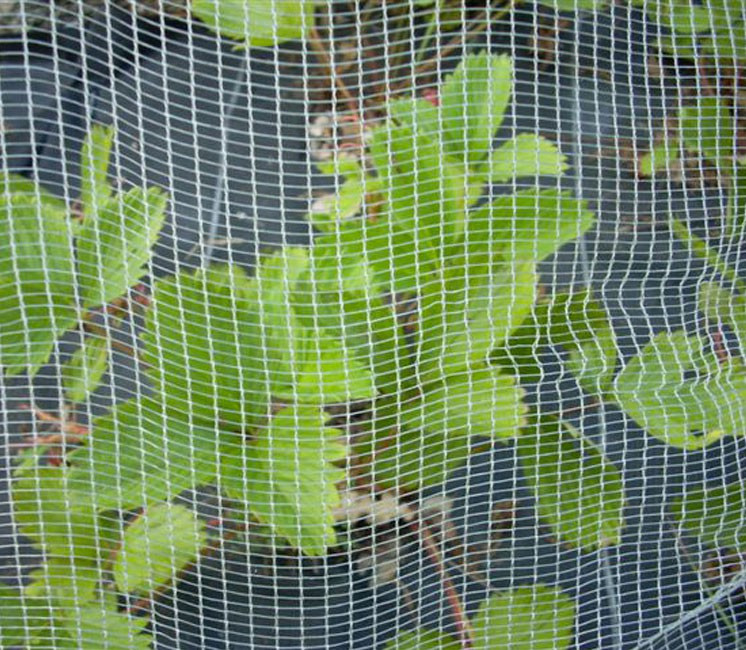 découvrez notre solution de toit anti-grêle, conçue pour protéger votre maison des intempéries et des dommages liés aux grêlons. alliant durabilité et esthétisme, ce système vous garantit une tranquillité d'esprit tout en augmentant la valeur de votre propriété.