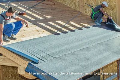 découvrez les avantages du toit bitumé, une solution durable et économique pour protéger votre bâtiment. apprenez-en davantage sur ses caractéristiques, son installation et son entretien pour garantir une imperméabilité optimale face aux intempéries.