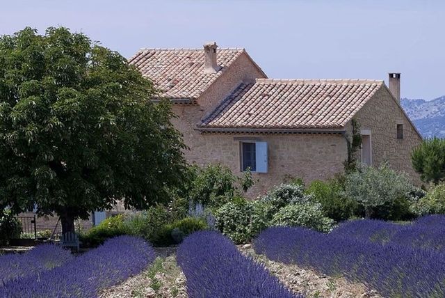 découvrez notre offre de toit champ, une solution esthétique et écologique pour vos projets de construction. profitez d'un design unique tout en bénéficiant d'un habitat durable et respectueux de l'environnement.