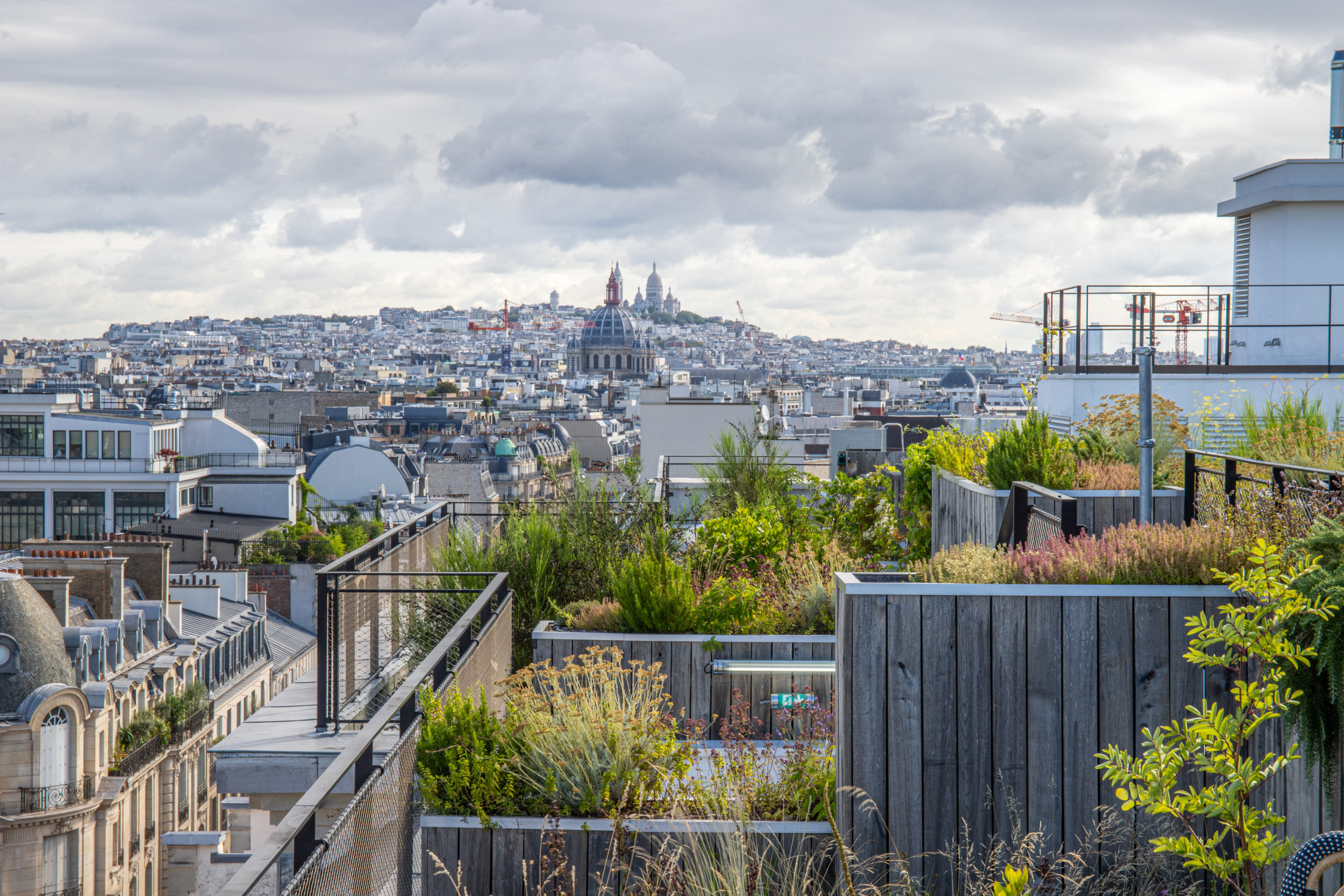 découvrez le toit champ, une solution innovante pour l'architecture moderne alliant esthétique et performance. optimisez votre espace extérieur tout en bénéficiant d'une isolation idéale et d'un design unique. transformez votre habitat avec un toit champ adapté à vos besoins.