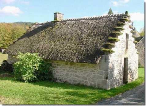 découvrez l'élégance naturelle du toit de chaume, une solution de couverture traditionnelle qui allie esthétisme et performance énergétique. idéal pour créer une ambiance chaleureuse et authentique, le toit de chaume offre une excellente isolation tout en complétant harmonieusement votre habitat. explorez les avantages et l'entretien de cette option durable pour valoriser votre maison.