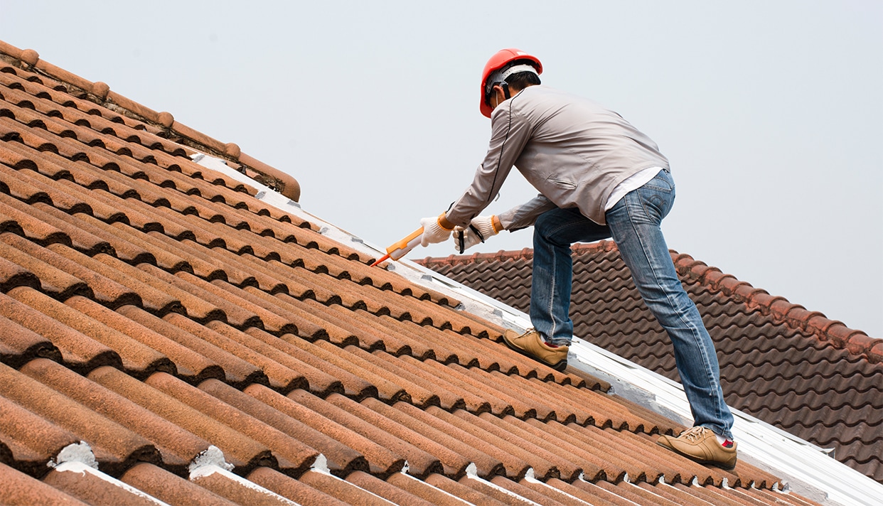 découvrez les avantages d'un toit écologique, une solution durable et respectueuse de l'environnement qui optimise l'efficacité énergétique de votre maison tout en préservant la biodiversité. transformez votre habitation en un espace sain et innovant grâce à des matériaux naturels et des techniques modernes.