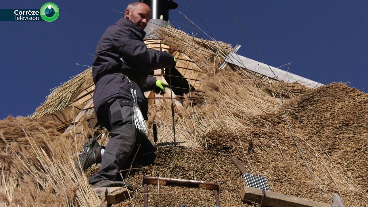 découvrez les avantages des toits en paille, une solution écologique et esthétique pour votre maison. apprenez-en davantage sur la durabilité, l'isolation naturelle et l'harmonie avec l'environnement.