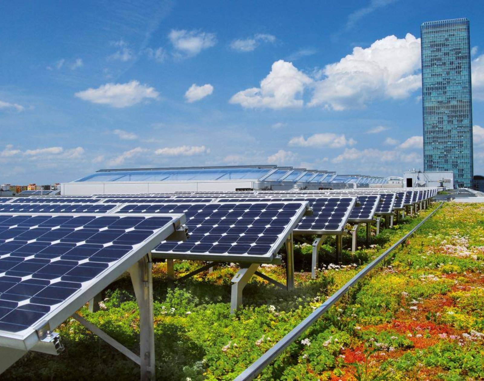 découvrez les avantages d'un toit photovoltaïque combiné à de la végétation, une solution innovante pour allier production d'énergie renouvelable et biodiversité. transformez votre espace en un havre écologique tout en réduisant votre empreinte carbone.