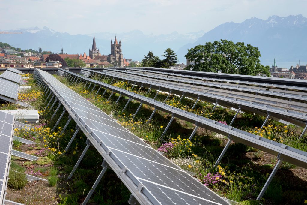 découvrez comment combiner esthétique et écologie avec notre guide sur les toits photovoltaïques et la végétation. apprenez à intégrer des panneaux solaires avec des espaces verts pour un habitat durable et innovant.