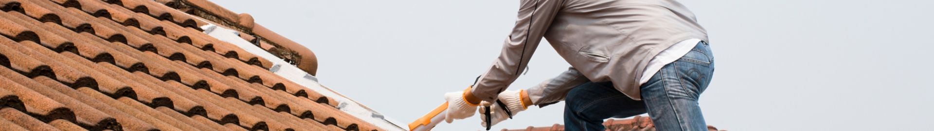 découvrez toit pro gamm vert, votre solution idéale pour des toits de qualité. profitez de nos conseils d'experts et de nos produits durables pour aménager et embellir votre espace extérieur.