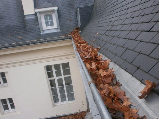 découvrez comment identifier et réparer un toit qui fuit pour protéger votre maison des dommages d'eau. suivez nos conseils pratiques et trouvez des solutions efficaces pour éviter les infiltrations.