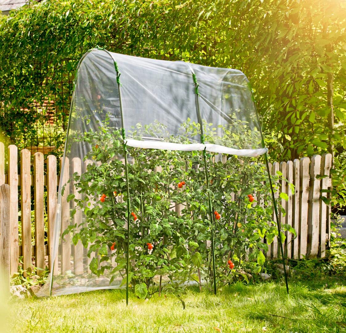 découvrez les avantages des toits tomates, une solution innovante pour allier jardinage urbain et esthétique. transformez votre espace en un véritable écosystème durable, tout en profitant de récoltes savoureuses directement sur votre toit. idéal pour les passionnés de jardinage et les citadins en quête de verdure.