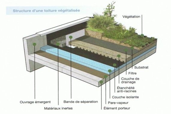 découvrez les avantages des toits végétaux : un espace écologique, une meilleure isolation thermique, et une amélioration de la biodiversité urbaine. transformez votre toiture en un jardin luxuriant qui embellit votre environnement tout en participant à la lutte contre le changement climatique.