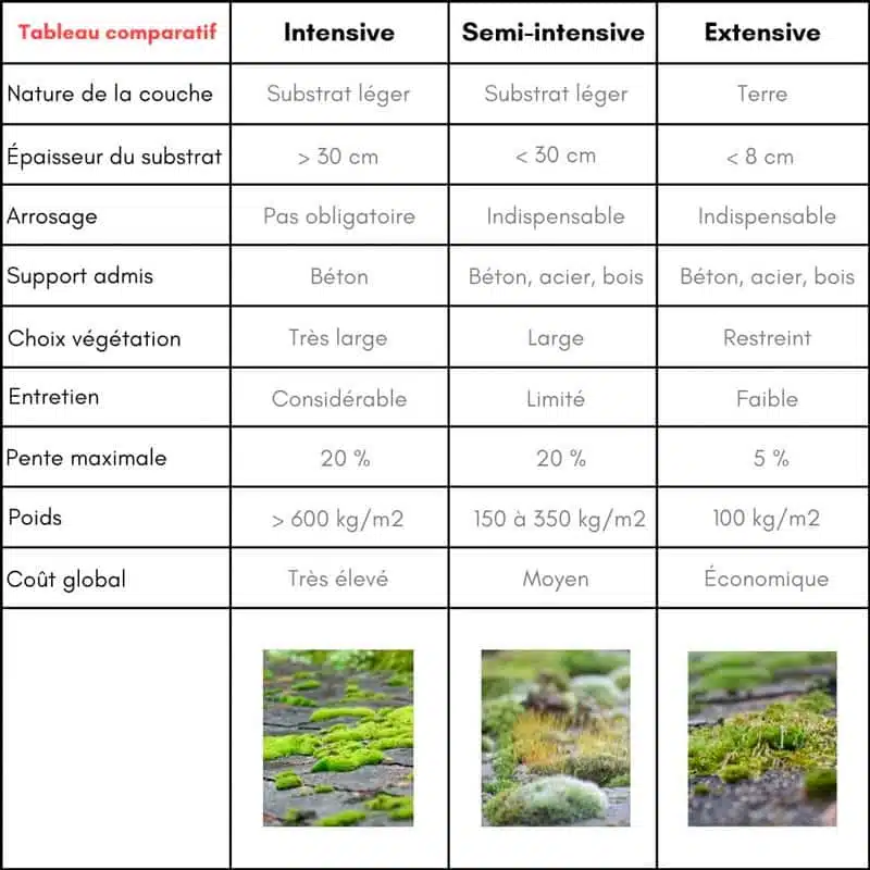 découvrez les avantages d'un toit végétal : une solution écologique pour améliorer l'isolation de votre bâtiment, favoriser la biodiversité et créer un espace vert en milieu urbain. optez pour le développement durable avec un toit végétal harmonieux et esthétique.
