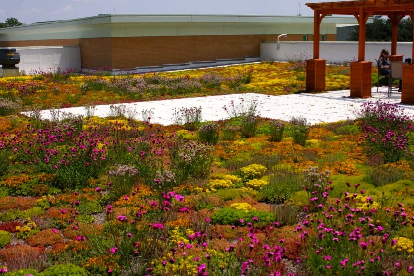 découvrez les avantages des toits végétaux, une solution écoresponsable qui améliore l'isolation, favorise la biodiversité et embellit vos espaces urbains. transformez votre toiture en un véritable jardin suspendu !