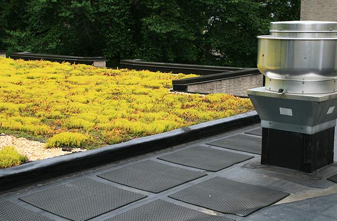 découvrez les avantages des toits végétaux : une solution écologique pour améliorer l'isolation, réduire les effets des îlots de chaleur urbains et favoriser la biodiversité en milieu urbain.