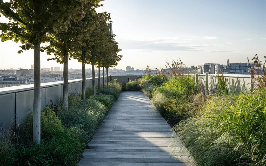 découvrez les avantages des toits végétaux : une solution écologique pour améliorer l'isolation, gérer les eaux pluviales et embellir l'environnement urbain. transformez votre espace en un oasis de verdure tout en contribuant à la biodiversité.