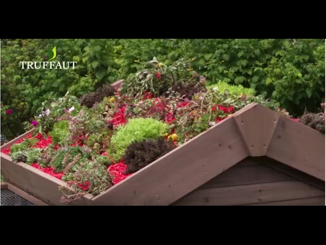 découvrez les avantages d'un toit végétal : une solution écologique qui améliore l'isolation, réduit les îlots de chaleur et favorise la biodiversité. transformez votre espace en un havre de paix tout en contribuant à la protection de l'environnement.