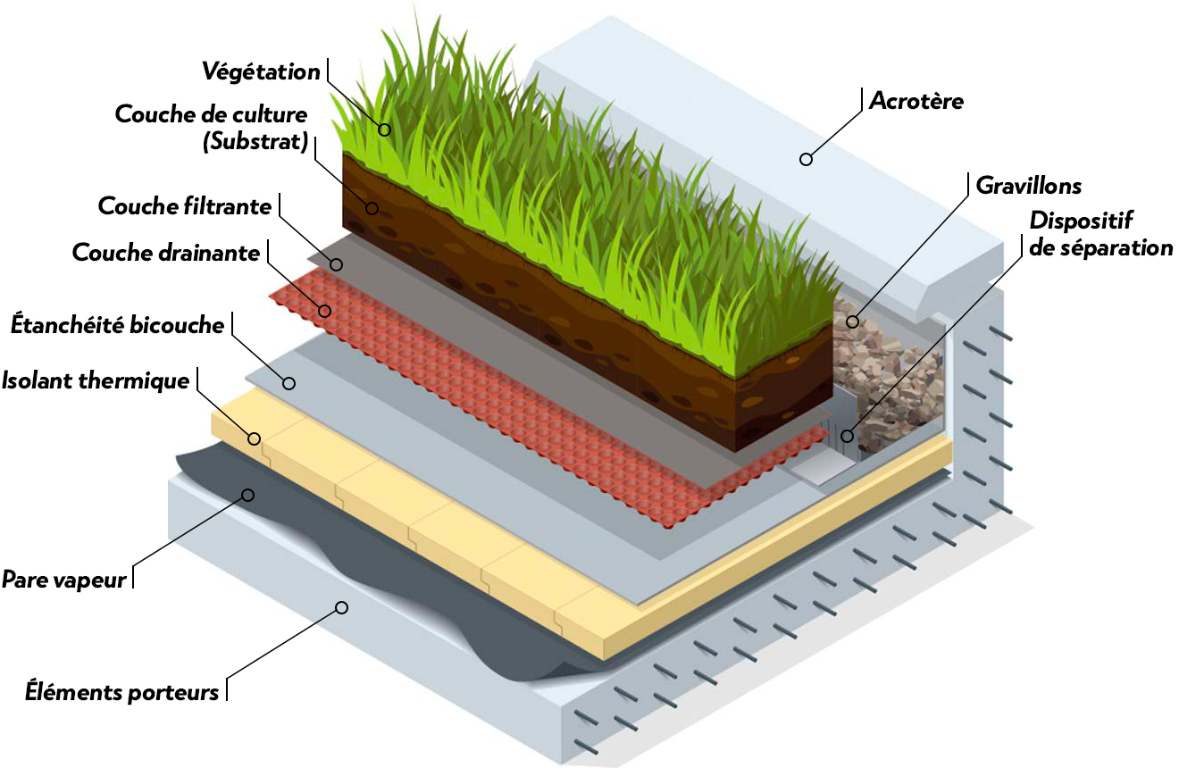 découvrez les avantages des toits végétaux pour votre habitat : une solution écologique qui améliore l'isolation, favorise la biodiversité et embellit l'environnement. apprenez comment intégrer cette tendance durable dans votre projet de construction ou de rénovation.