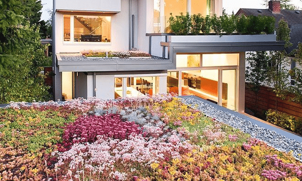 découvrez les avantages d'un toit végétal, une solution écologique et esthétique qui améliore l'isolation, favorise la biodiversité et contribue à la réduction des îlots de chaleur. transformez votre espace en un havre de vert tout en participant à la protection de l'environnement.