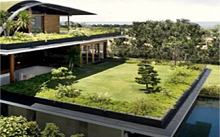 découvrez les avantages d'un toit végétalisé : amélioration de l'isolation, réduction des îlots de chaleur urbains et création d'un espace vert apaisant. transformez votre toiture en un habitat éco-responsable et esthétique.