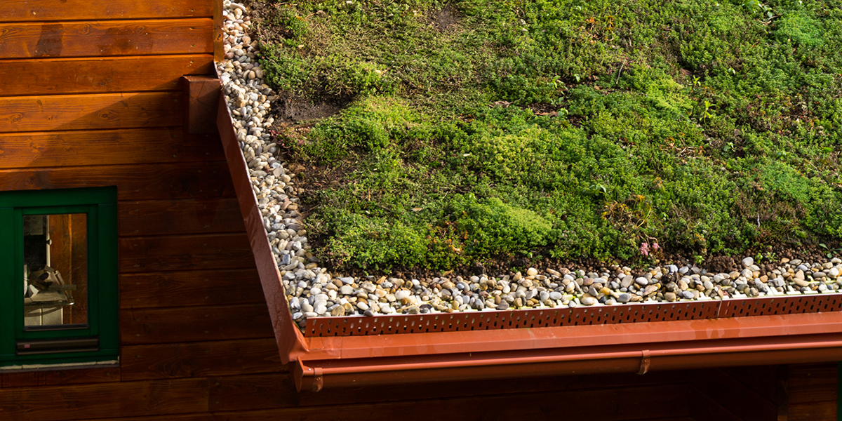 découvrez les avantages d'un toit vert pour votre maison : amélioration de l'isolation, réduction des îlots de chaleur et contribution à la biodiversité. transformez votre espace en un jardin suspendu tout en préservant l'environnement.